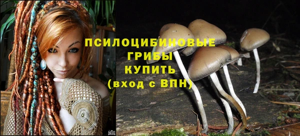 мдма Инсар