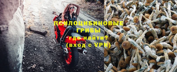 ПСИЛОЦИБИНОВЫЕ ГРИБЫ Касимов