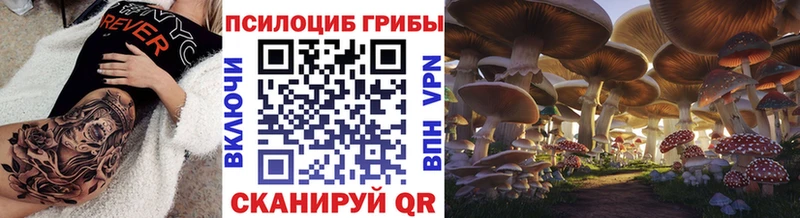 Псилоцибиновые грибы Psilocybe  Купить  Наволоки 